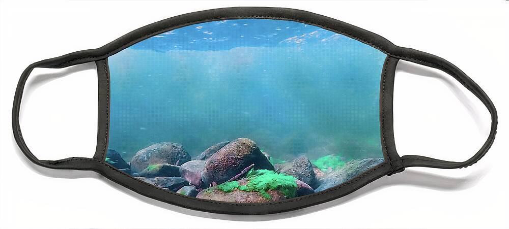 Sea Face Mask featuring the photograph Underwater Scene - Upper Delaware River 6 by Amelia Pearn