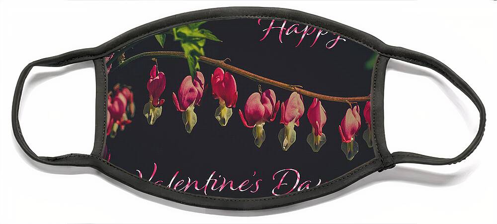 Valentine's Face Mask featuring the photograph Valentine's Day Greeting Card Bleeding Hearts by Carol Senske