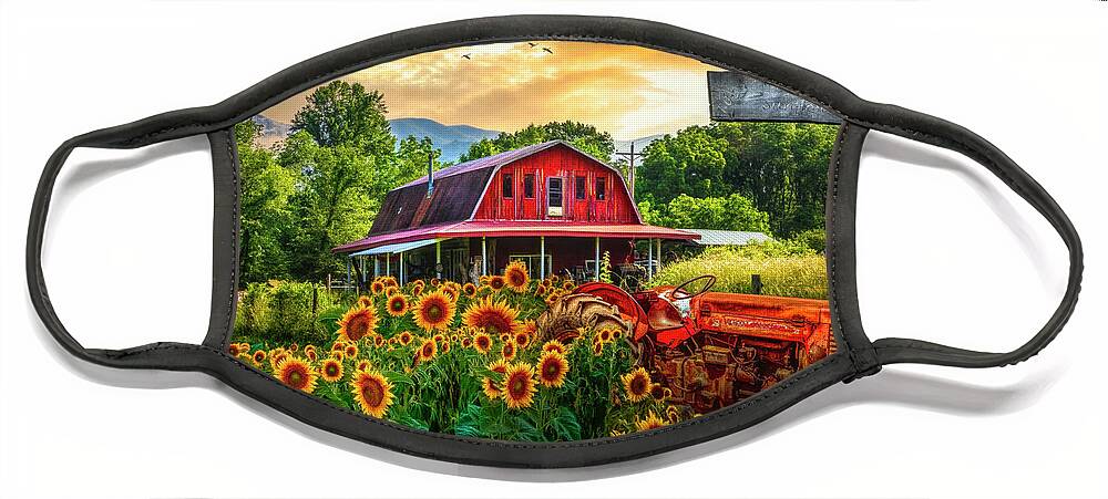 Barns Face Mask featuring the photograph Valley Sunflower Farm by Debra and Dave Vanderlaan
