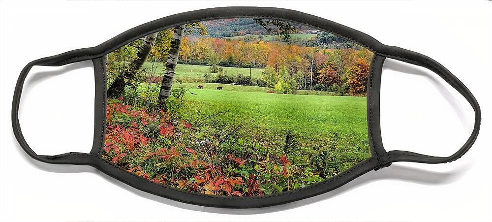 1902 Maple Grove Farm Face Mask featuring the photograph Vermont Morning on the Farm by Jeff Folger