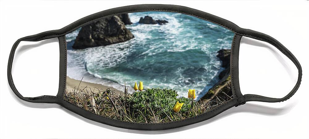 California Face Mask featuring the photograph View from Above by Margaret Pitcher