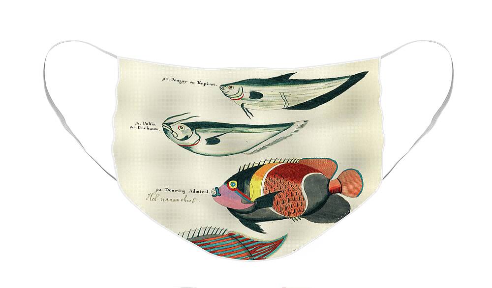 Fish Face Mask featuring the digital art Vintage, Whimsical Fish and Marine Life Illustration by Louis Renard - Sardine, Douwing Admiral by Louis Renard