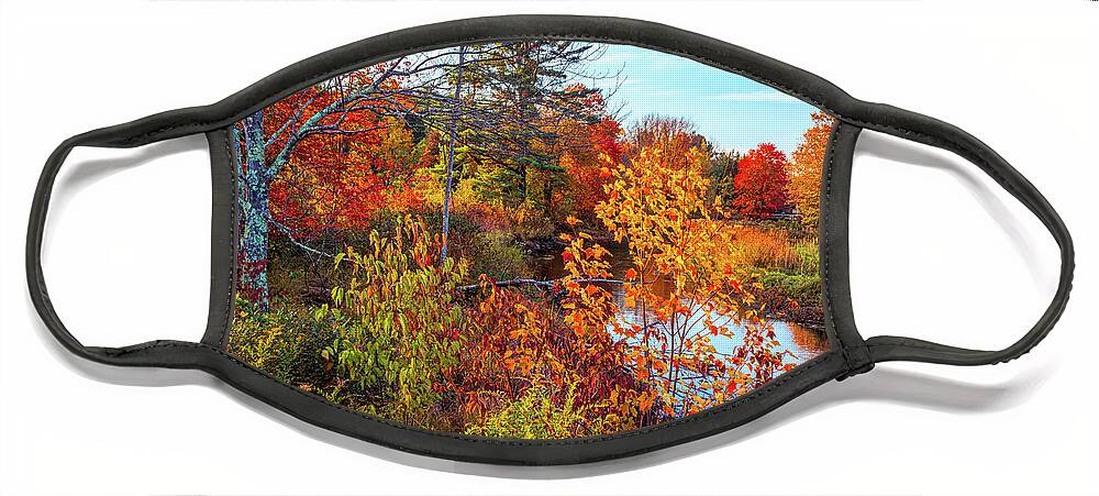 Foliage Face Mask featuring the photograph Vivid colors of autumn by Lilia S