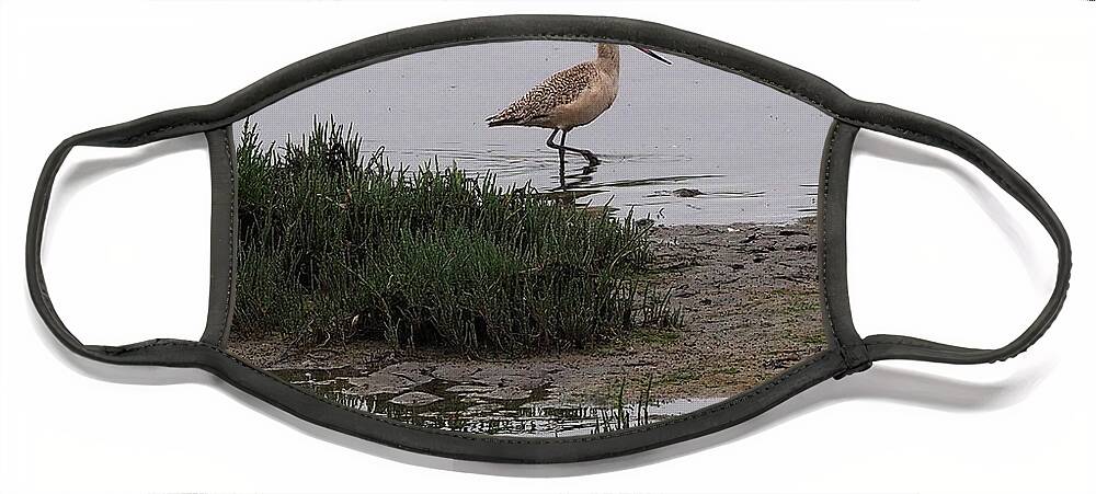 Bird Face Mask featuring the photograph Wading Bird in the Elkhorn Slough by James C Richardson