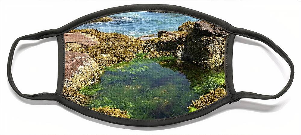 Ocean Face Mask featuring the photograph Wading Pool by Lee Darnell
