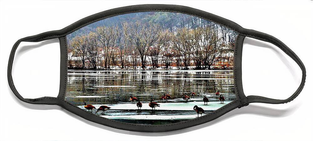 Geese Face Mask featuring the photograph Walking on Water by Susie Loechler