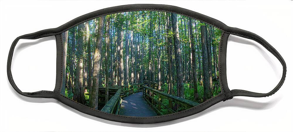Trees Face Mask featuring the photograph Walkway through trees by Dart Humeston