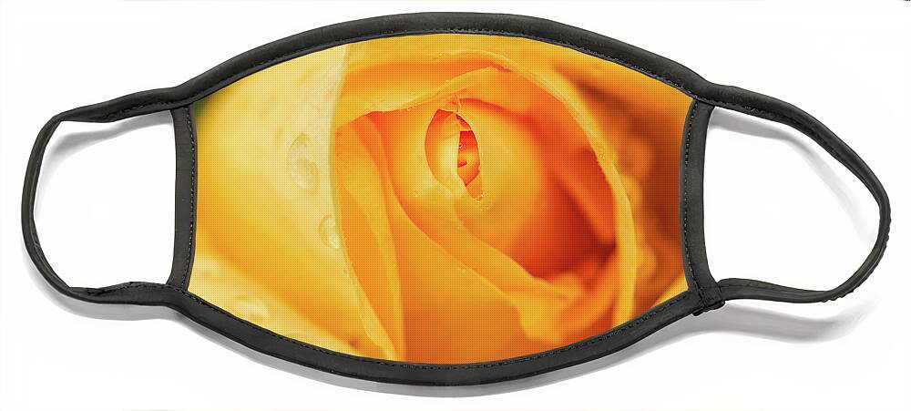 Rose Face Mask featuring the photograph Water drops on a yellow rose by Philippe Lejeanvre