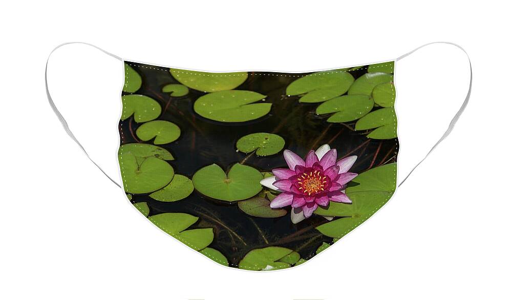 Plants Face Mask featuring the photograph Water Lilly by Alan Goldberg