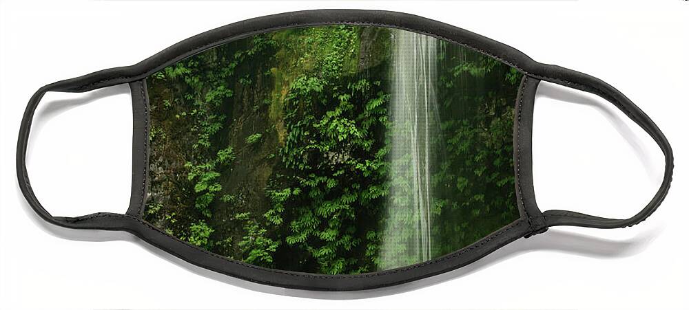 Beauty In Nature Face Mask featuring the photograph Waterfall in Mossy Glen by Oscar Gutierrez