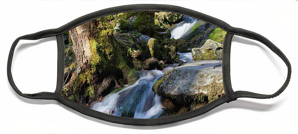 Tennessee Face Mask featuring the photograph Waterfall In The Smokies by Phil Perkins