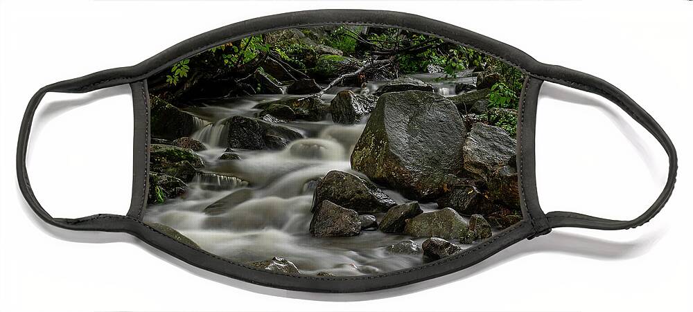 Waterfall Face Mask featuring the photograph Waterfall in the WOods by Regina Muscarella