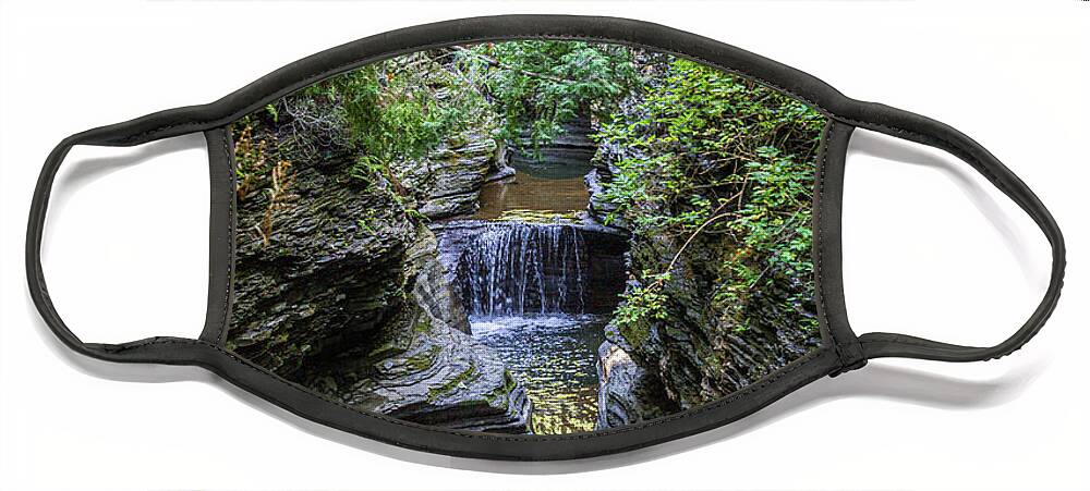 Gorge Face Mask featuring the photograph Watkins Glen State Park 35 by William Norton