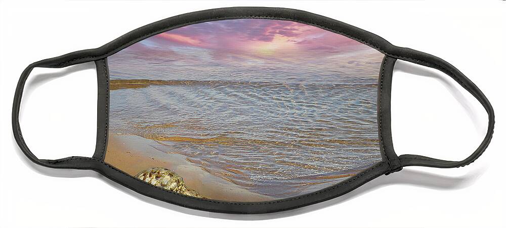 Clouds Face Mask featuring the photograph Waves and Shells II by Debra and Dave Vanderlaan
