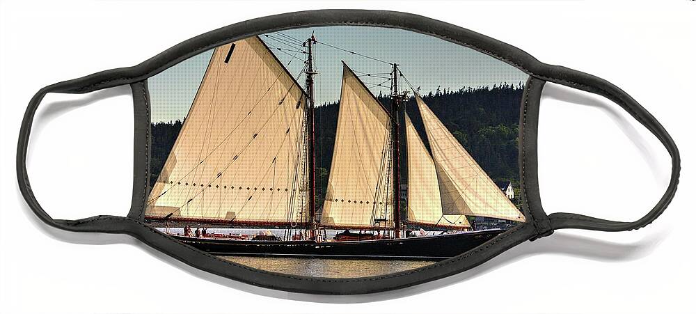 The Bluenose Ll Out Of Lunenberg Nova Scotia En Route To Digby Nova Scotia Via Petit Passage Bay Of Fundy Sea Oceans Ships Sail Land Water Clipper Face Mask featuring the photograph We are sailing by David Matthews