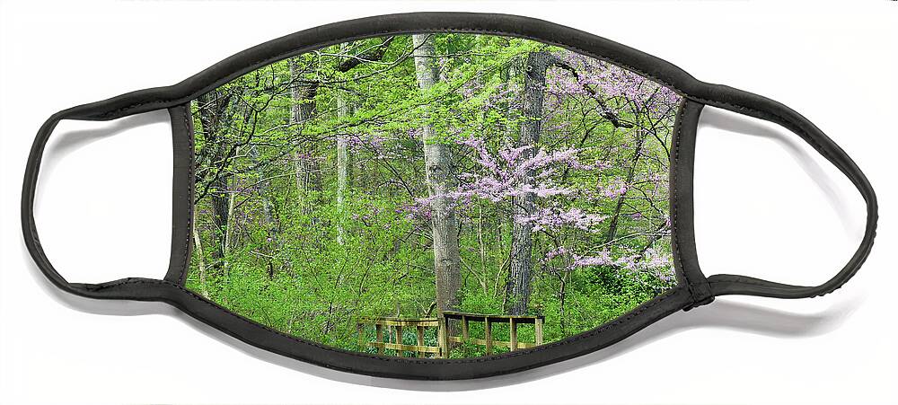 Trees Face Mask featuring the photograph Welcome to Spring in the Forest by Roberta Byram