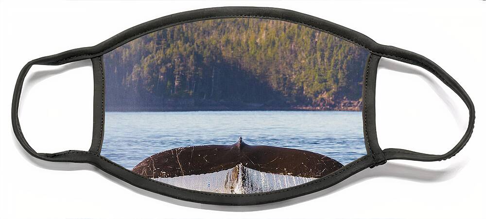 Whale Tale Face Mask featuring the photograph Whale Tale 1 by Michael Rauwolf