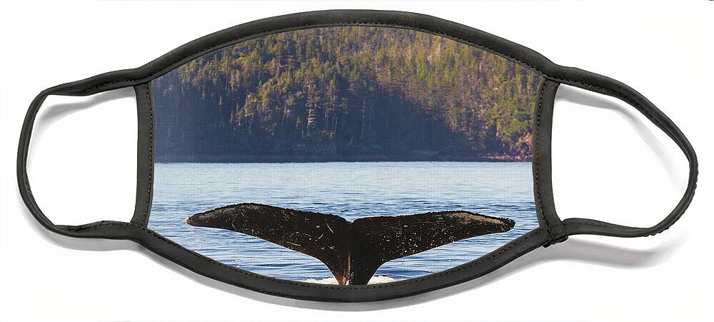 Whale Tale Face Mask featuring the photograph Whale Tale 3 by Michael Rauwolf