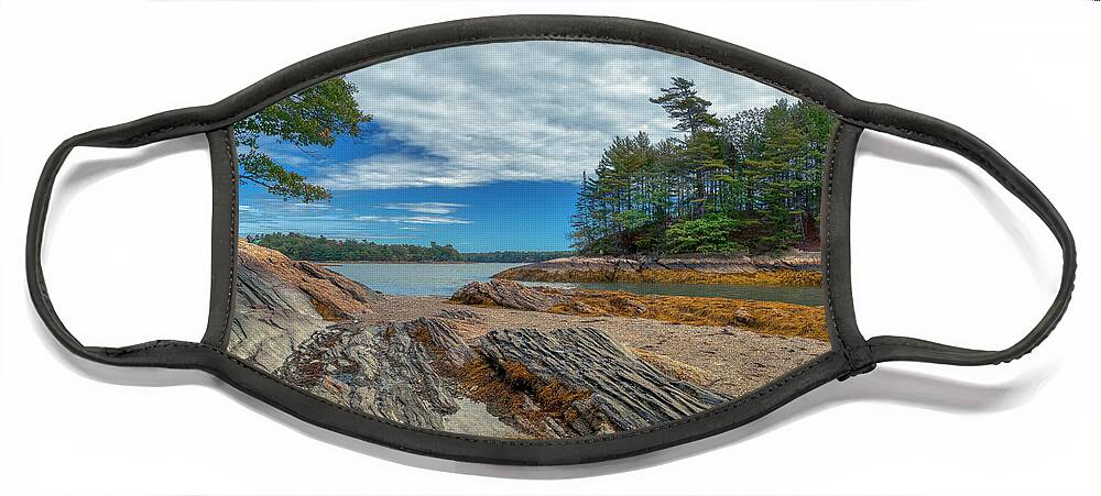 Wolfe Neck Woods State Park Face Mask featuring the photograph What a View by Penny Polakoff