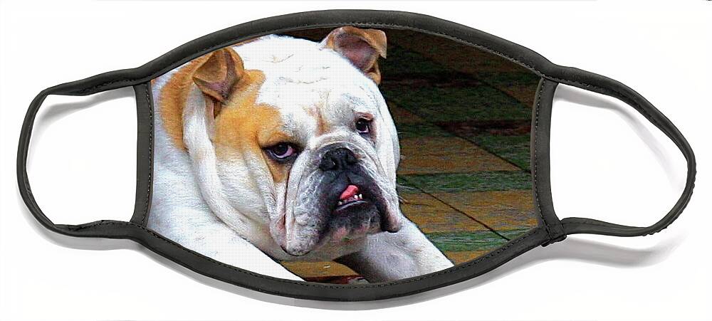 Dog Bulldog Funny Pose Face Mask featuring the painting What's it to you by Dorsey Northrup