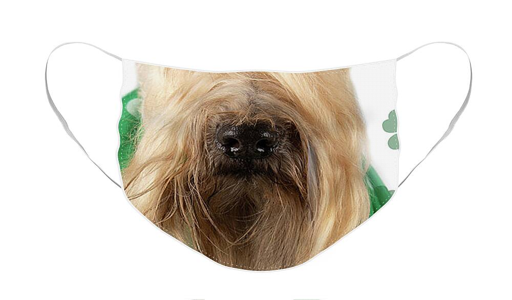 Wheaten Face Mask featuring the photograph Wheaten Face Mask 8 by Rebecca Cozart