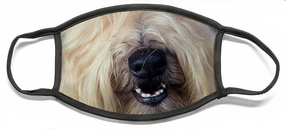 Wheaten Face Mask featuring the photograph Wheaten Face Mask 2 by Rebecca Cozart