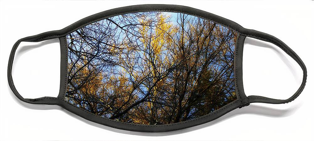 Landscape Photography Face Mask featuring the photograph White Bark Golden Hour Sunset by Frank J Casella