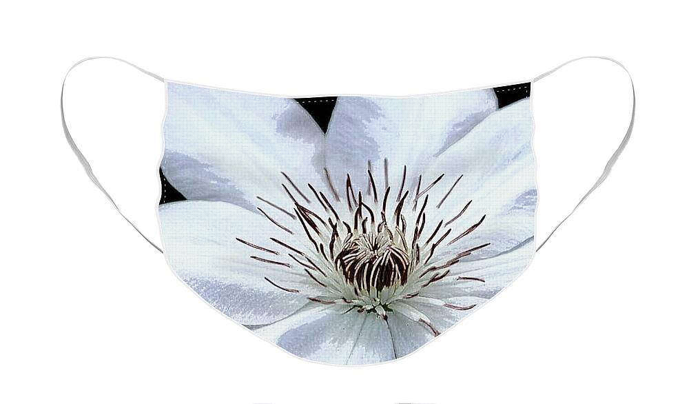 Clematis Flower Face Mask featuring the photograph White Clematis by Tracey Lee Cassin