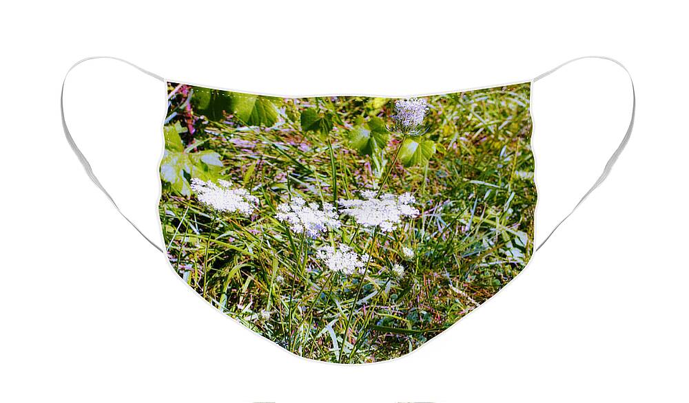 Nature Face Mask featuring the photograph White Flowers in the Prairie - Macro by Frank J Casella