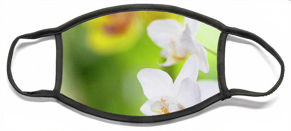 Background Face Mask featuring the photograph White Orchid Flowers by Raul Rodriguez