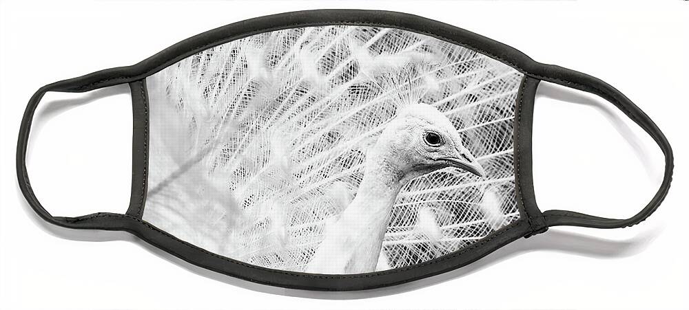 White Peacock Face Mask featuring the photograph White Peacock by Elvira Peretsman