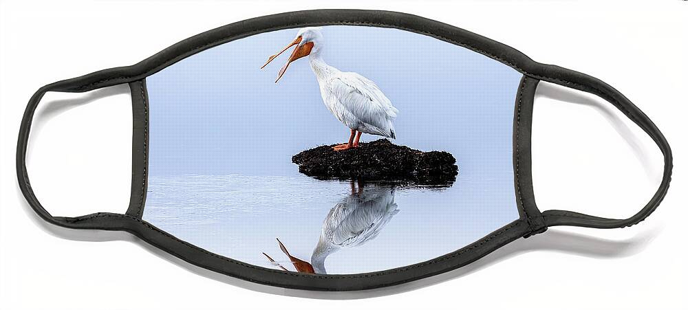White Pelican Face Mask featuring the photograph White Pelican Yawning by C Renee Martin
