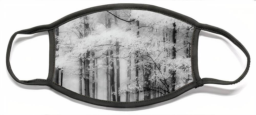 Black And White Face Mask featuring the photograph White trees II by Ana Luiza Cortez