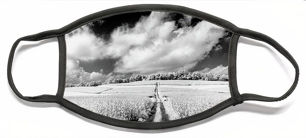 North Carolina Face Mask featuring the photograph Whole Grain Goodness bw by Dan Carmichael