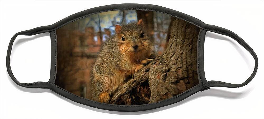Squirrel Face Mask featuring the photograph Squirrel - Why, Hello There by Christopher Reed