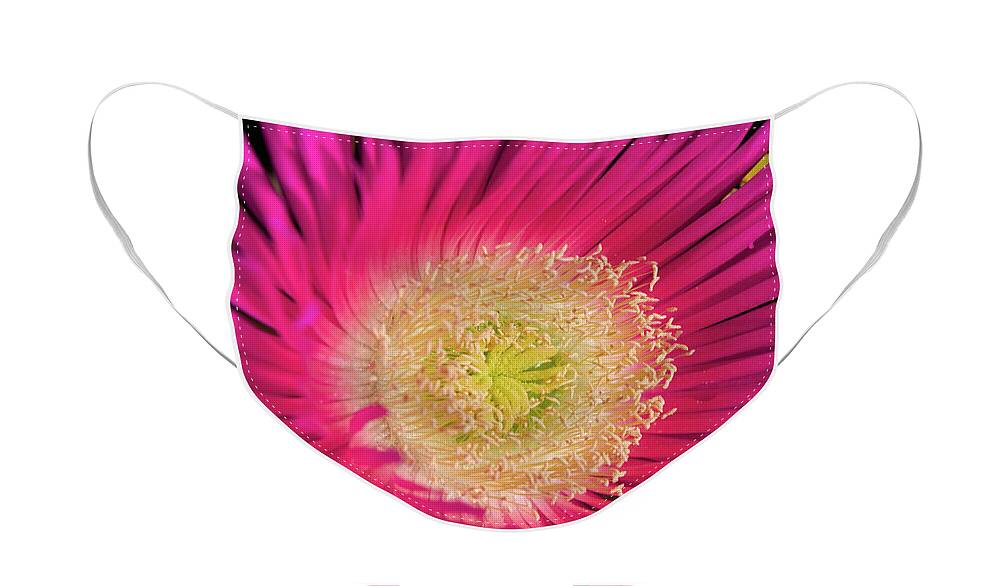 Purple Flower Face Mask featuring the photograph Wild beach purple flower by Angelo DeVal