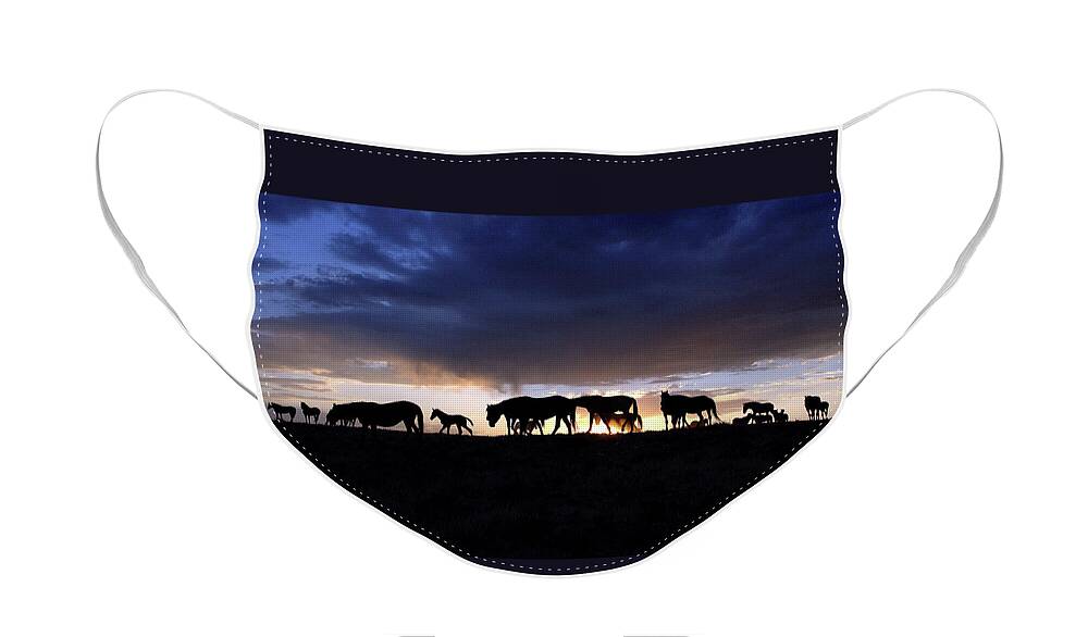 Wild Horse Face Mask featuring the photograph Wild Horse Color Silhouette by Dirk Johnson