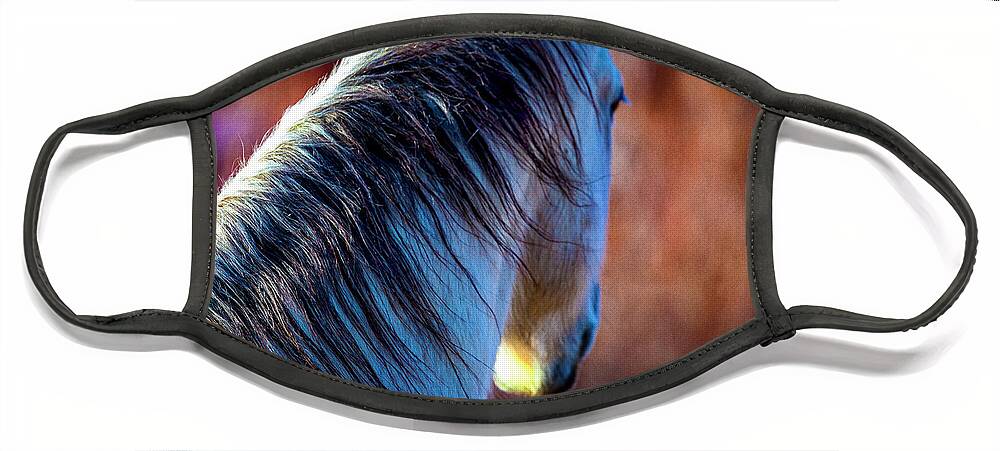 Horse Face Mask featuring the photograph Wild Horse No. 2 by Craig J Satterlee
