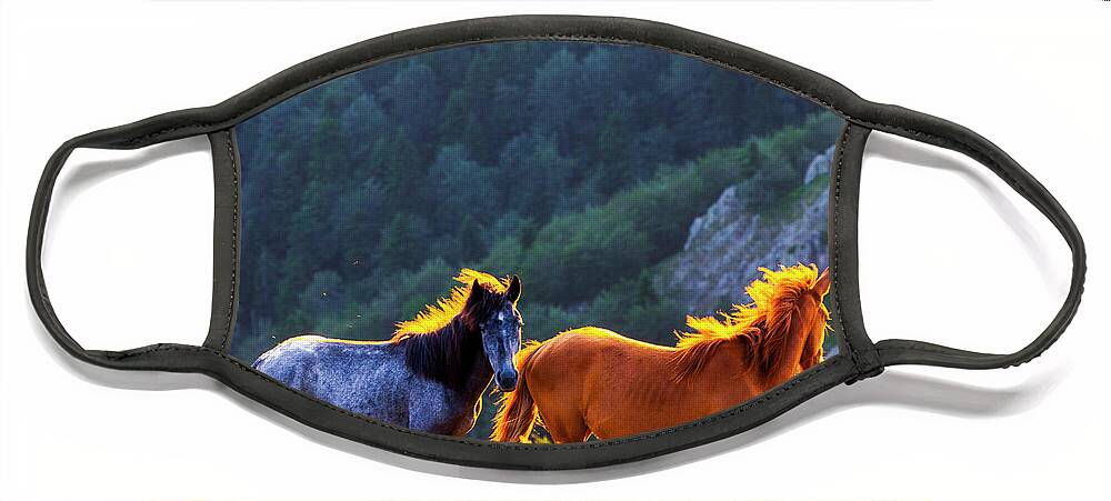 Balkan Mountains Face Mask featuring the photograph Wild Horses by Evgeni Dinev