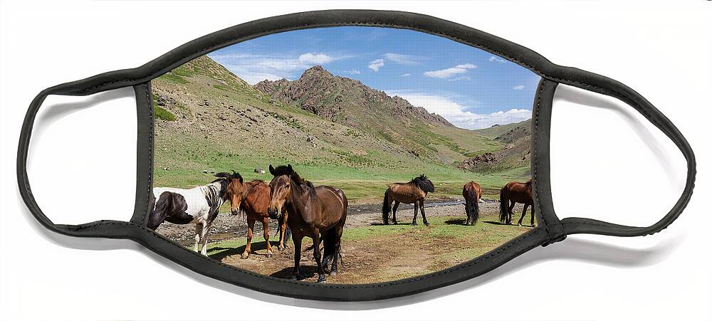 Mountains Face Mask featuring the photograph Wild Horses by Martin Vorel Minimalist Photography