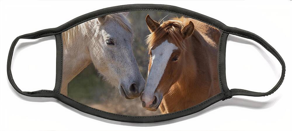 Wild Horses Face Mask featuring the photograph Wild Horses of Arizona by Sylvia Goldkranz