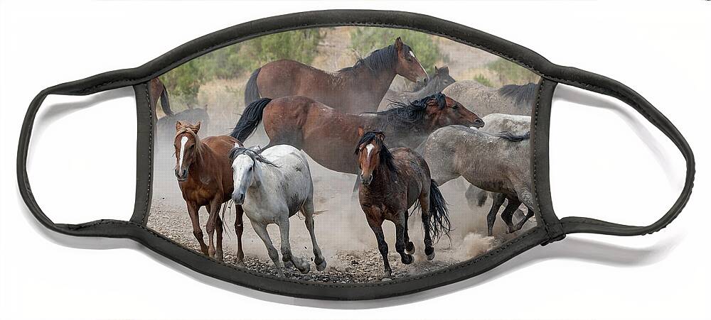 Wild Horses Face Mask featuring the photograph Wild Horses Utah by Wesley Aston