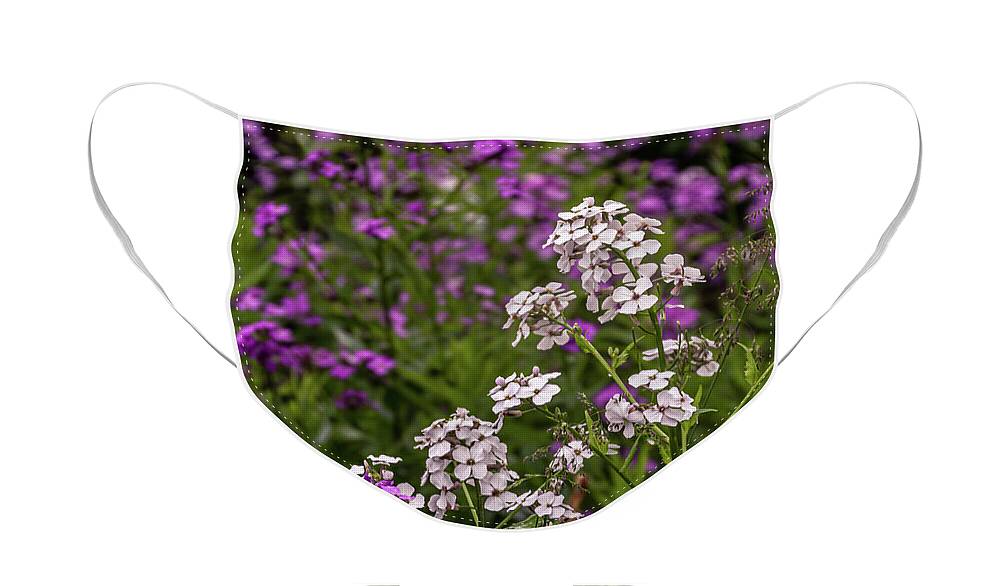 Wildflowers Face Mask featuring the photograph Wild Life by William Norton