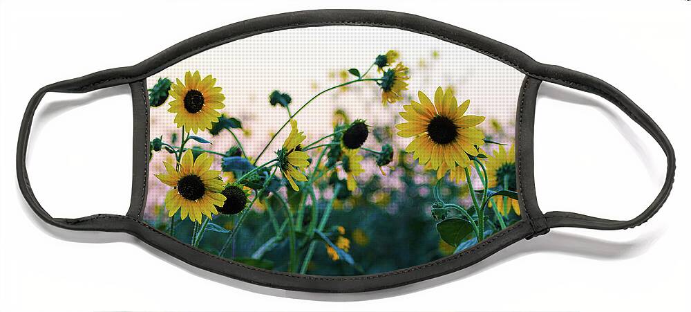 Ennis Face Mask featuring the photograph Wild Sunflowers by KC Hulsman