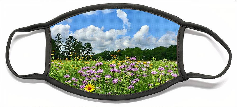 Wildflower Face Mask featuring the photograph Wildflower Glory by Sarah Lilja