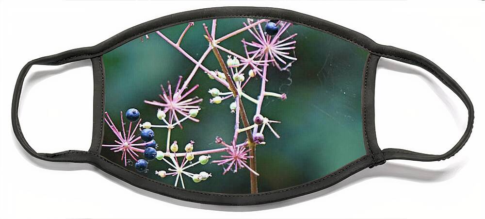 Flora Face Mask featuring the photograph Tiny Wildflowers Up Close by Ellen Cotton