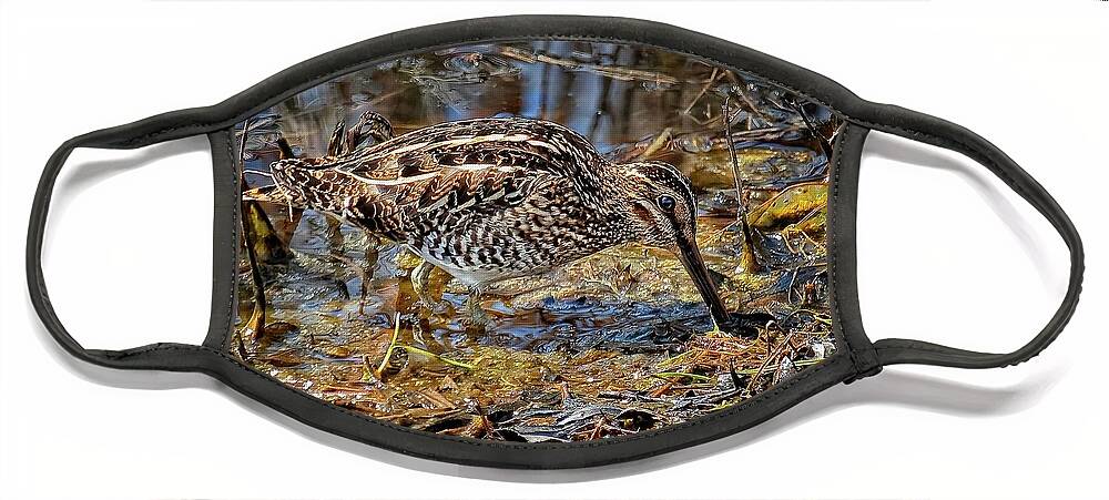 Wildlife Face Mask featuring the photograph Wilson's Snipe in Savannah National Wildlife Refuge by Ronald Lutz
