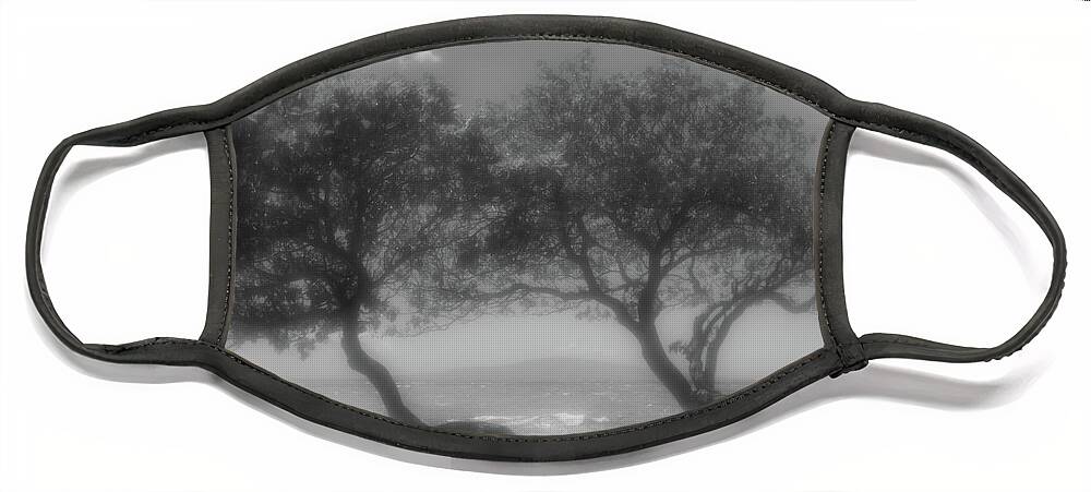 Maui Face Mask featuring the photograph Wind Bent Trees in Black and White by Tina Horne
