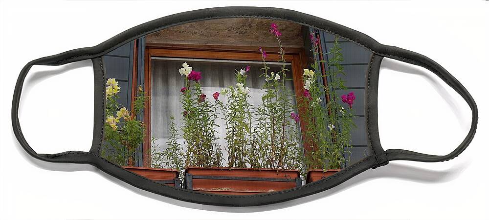 Window Box Face Mask featuring the photograph Window Garden - Venice by Yvonne M Smith