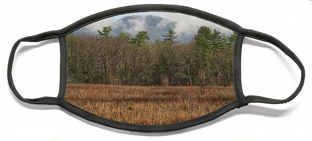 Winter Face Mask featuring the photograph Winter at Cades Cove by Phil Perkins